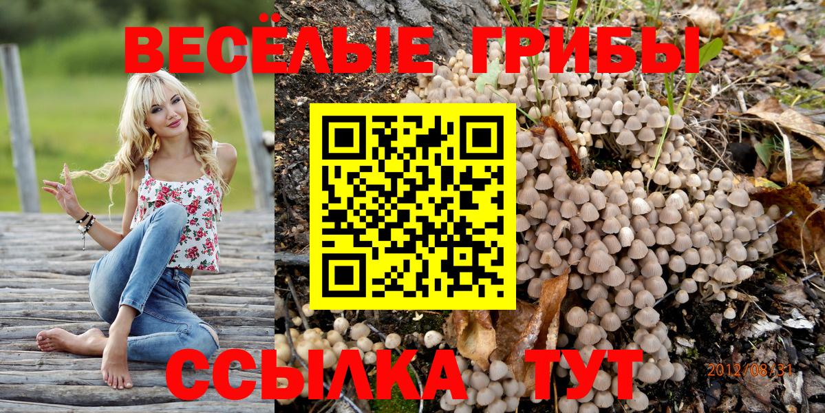 COCAIN  Экстази  Марихуана  Меф кристаллы  Альфа ПВП СК   Меф  Кизилюрт  Вход с VPN 
