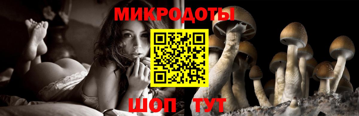 продажа наркотиков  Псилоцибиновые грибы Magic Shrooms  Псилоцибиновые грибы GOLDEN TEACHER  Вход с VPN  Кизилюрт 